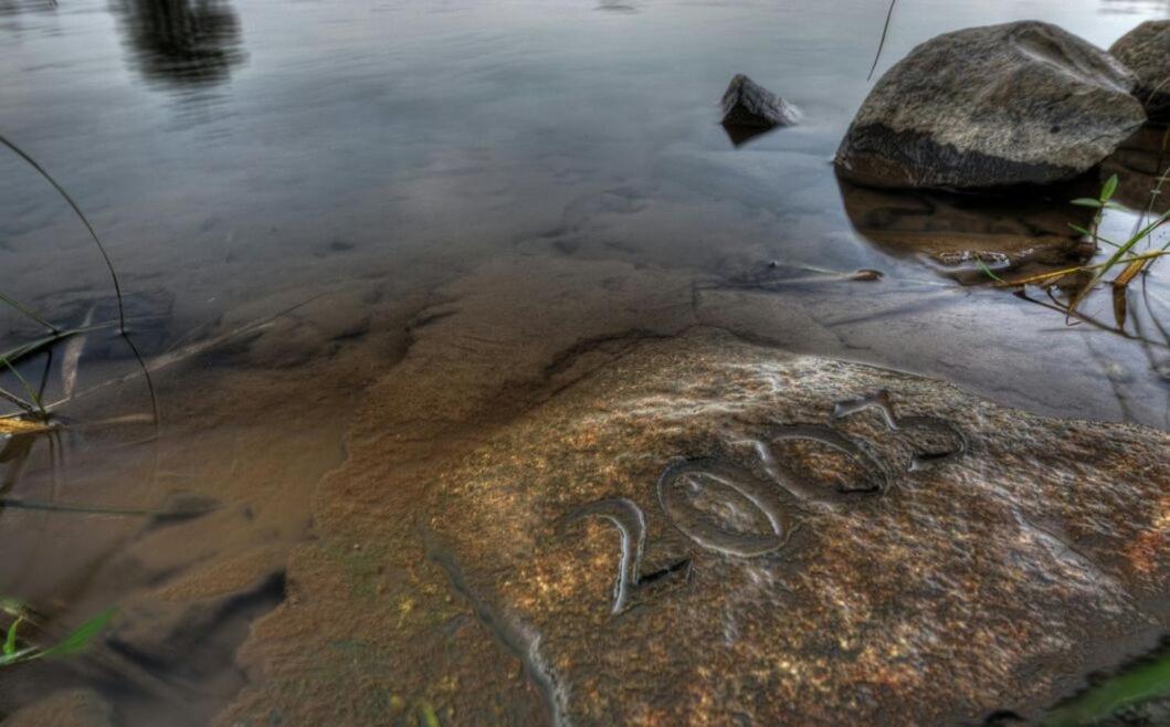 Schmidtalien Schlemmen Und Schlummern Dommitzsch Exteriör bild